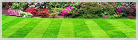 Jardinagem